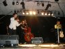 SL380743.jpg - 